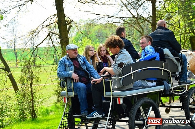 Zdjęcie w galerii na portalu naszraciborz.pl: Majówka konna w Kornicach rozpoczęta wiadomości z regionu