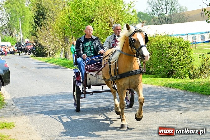 Zdjęcie w galerii na portalu naszraciborz.pl: Majówka konna w Kornicach rozpoczęta wiadomości z regionu
