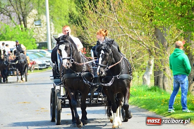 Zdjęcie w galerii na portalu naszraciborz.pl: Majówka konna w Kornicach rozpoczęta wiadomości z regionu