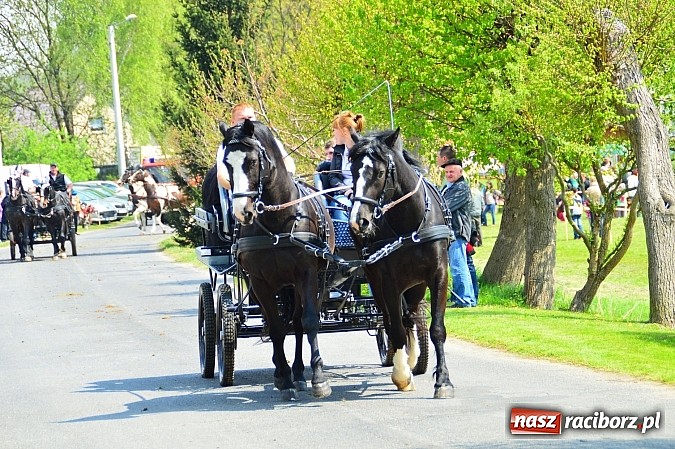 Zdjęcie w galerii na portalu naszraciborz.pl: Majówka konna w Kornicach rozpoczęta wiadomości z regionu