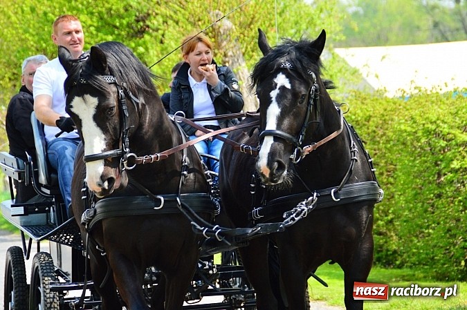 Zdjęcie w galerii na portalu naszraciborz.pl: Majówka konna w Kornicach rozpoczęta wiadomości z regionu