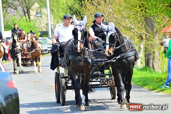 Zdjęcie w galerii na portalu naszraciborz.pl: Majówka konna w Kornicach rozpoczęta wiadomości z regionu