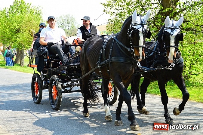 Zdjęcie w galerii na portalu naszraciborz.pl: Majówka konna w Kornicach rozpoczęta wiadomości z regionu