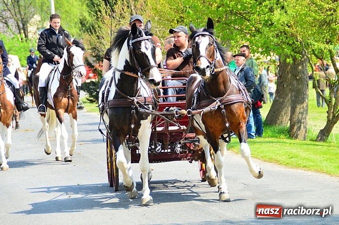 Zdjęcie w galerii na portalu naszraciborz.pl: Majówka konna w Kornicach rozpoczęta wiadomości z regionu
