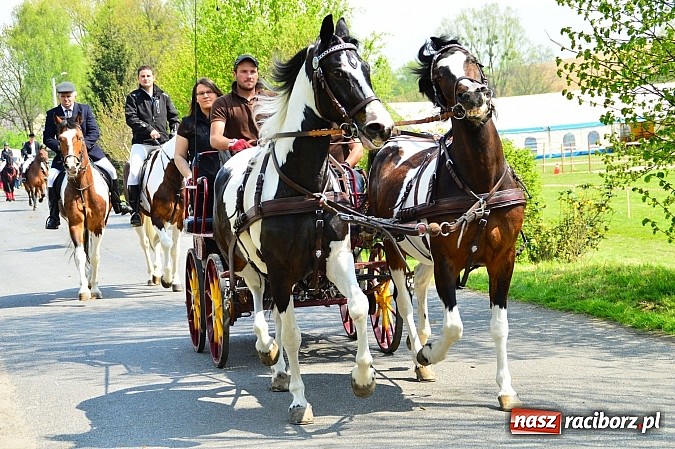 Zdjęcie w galerii na portalu naszraciborz.pl: Majówka konna w Kornicach rozpoczęta wiadomości z regionu