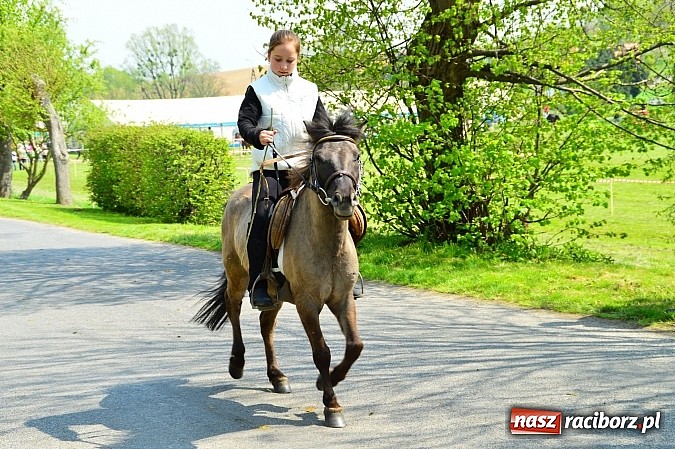 Zdjęcie w galerii na portalu naszraciborz.pl: Majówka konna w Kornicach rozpoczęta wiadomości z regionu