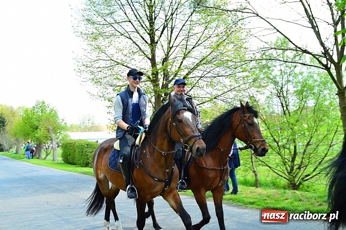 Zdjęcie w galerii na portalu naszraciborz.pl: Majówka konna w Kornicach rozpoczęta wiadomości z regionu