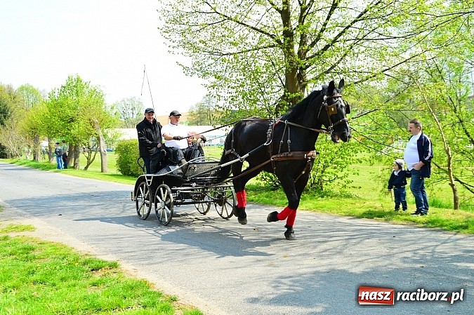 Zdjęcie w galerii na portalu naszraciborz.pl: Majówka konna w Kornicach rozpoczęta wiadomości z regionu