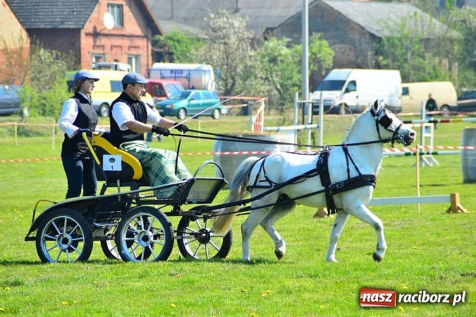 Zdjęcie w galerii na portalu naszraciborz.pl: Konna majówka w Kornicach - zawody w powożeniu  wiadomości z regionu