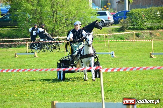 Zdjęcie w galerii na portalu naszraciborz.pl: Konna majówka w Kornicach - zawody w powożeniu  wiadomości z regionu