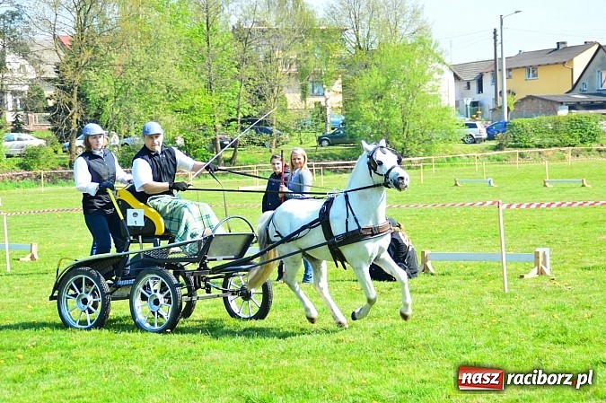 Zdjęcie w galerii na portalu naszraciborz.pl: Konna majówka w Kornicach - zawody w powożeniu  wiadomości z regionu