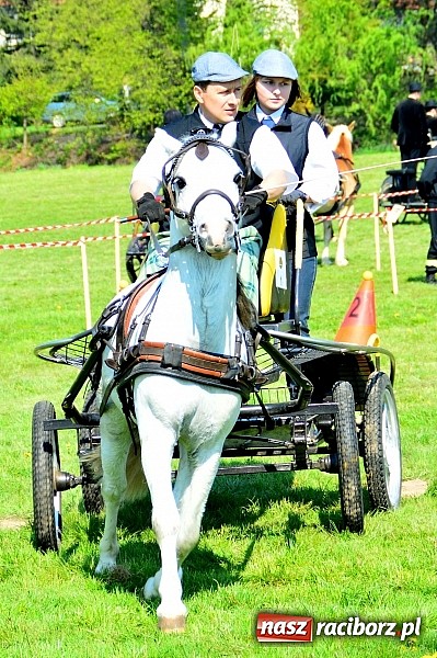 Zdjęcie w galerii na portalu naszraciborz.pl: Konna majówka w Kornicach - zawody w powożeniu  wiadomości z regionu