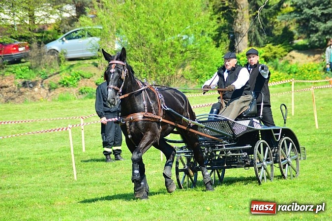 Zdjęcie w galerii na portalu naszraciborz.pl: Konna majówka w Kornicach - zawody w powożeniu  wiadomości z regionu