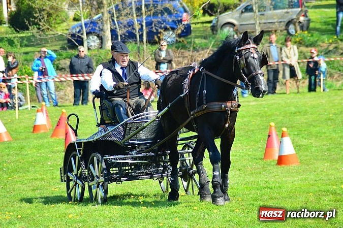 Zdjęcie w galerii na portalu naszraciborz.pl: Konna majówka w Kornicach - zawody w powożeniu  wiadomości z regionu