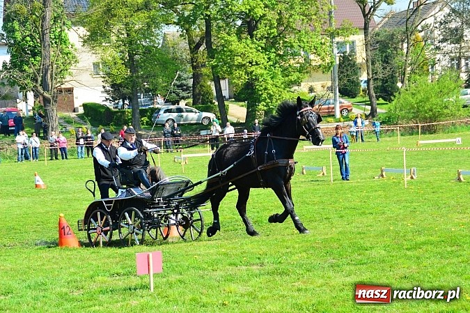 Zdjęcie w galerii na portalu naszraciborz.pl: Konna majówka w Kornicach - zawody w powożeniu  wiadomości z regionu