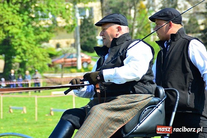 Zdjęcie w galerii na portalu naszraciborz.pl: Konna majówka w Kornicach - zawody w powożeniu  wiadomości z regionu