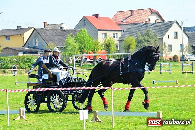 Zdjęcie w galerii na portalu naszraciborz.pl: Konna majówka w Kornicach - zawody w powożeniu  wiadomości z regionu