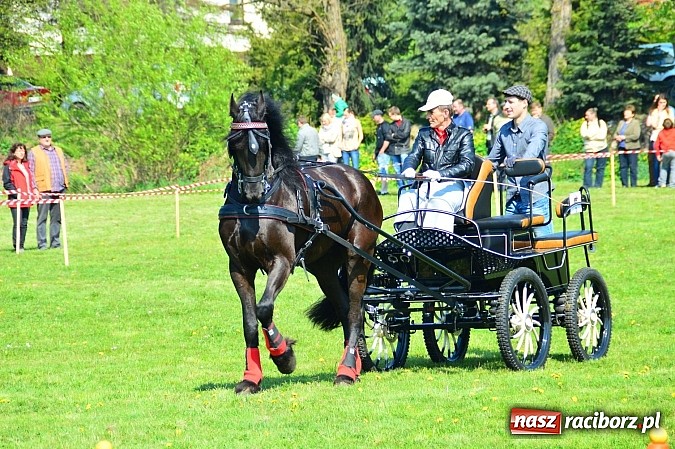 Zdjęcie w galerii na portalu naszraciborz.pl: Konna majówka w Kornicach - zawody w powożeniu  wiadomości z regionu