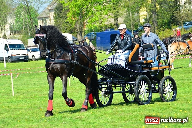 Zdjęcie w galerii na portalu naszraciborz.pl: Konna majówka w Kornicach - zawody w powożeniu  wiadomości z regionu
