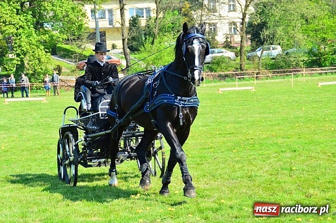Zdjęcie w galerii na portalu naszraciborz.pl: Konna majówka w Kornicach - zawody w powożeniu  wiadomości z regionu