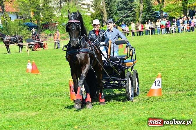 Zdjęcie w galerii na portalu naszraciborz.pl: Konna majówka w Kornicach - zawody w powożeniu  wiadomości z regionu