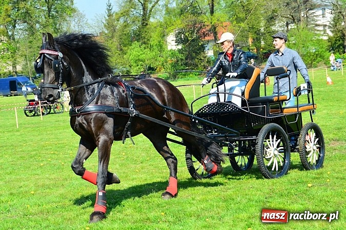 Zdjęcie w galerii na portalu naszraciborz.pl: Konna majówka w Kornicach - zawody w powożeniu  wiadomości z regionu