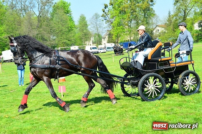 Zdjęcie w galerii na portalu naszraciborz.pl: Konna majówka w Kornicach - zawody w powożeniu  wiadomości z regionu