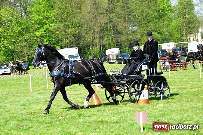 Zdjęcie w galerii na portalu naszraciborz.pl: Konna majówka w Kornicach - zawody w powożeniu  wiadomości z regionu