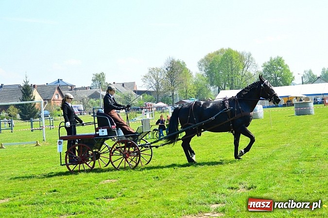 Zdjęcie w galerii na portalu naszraciborz.pl: Konna majówka w Kornicach - zawody w powożeniu  wiadomości z regionu