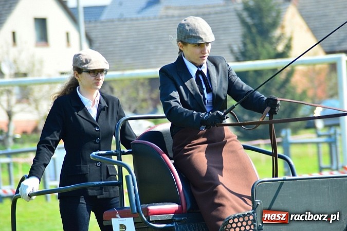Zdjęcie w galerii na portalu naszraciborz.pl: Konna majówka w Kornicach - zawody w powożeniu  wiadomości z regionu