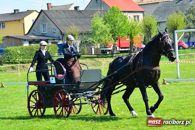 Zdjęcie w galerii na portalu naszraciborz.pl: Konna majówka w Kornicach - zawody w powożeniu  wiadomości z regionu