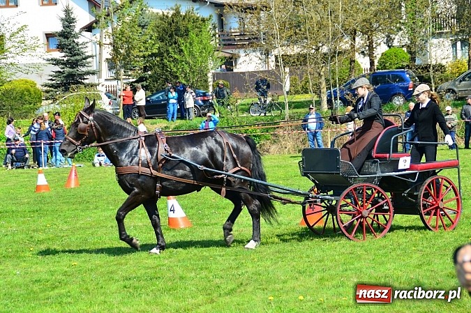 Zdjęcie w galerii na portalu naszraciborz.pl: Konna majówka w Kornicach - zawody w powożeniu  wiadomości z regionu