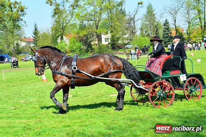 Zdjęcie w galerii na portalu naszraciborz.pl: Konna majówka w Kornicach - zawody w powożeniu  wiadomości z regionu