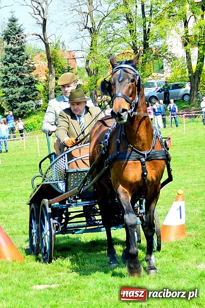 Zdjęcie w galerii na portalu naszraciborz.pl: Konna majówka w Kornicach - zawody w powożeniu  wiadomości z regionu