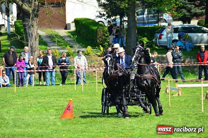 Zdjęcie w galerii na portalu naszraciborz.pl: Konna majówka w Kornicach - zawody w powożeniu  wiadomości z regionu