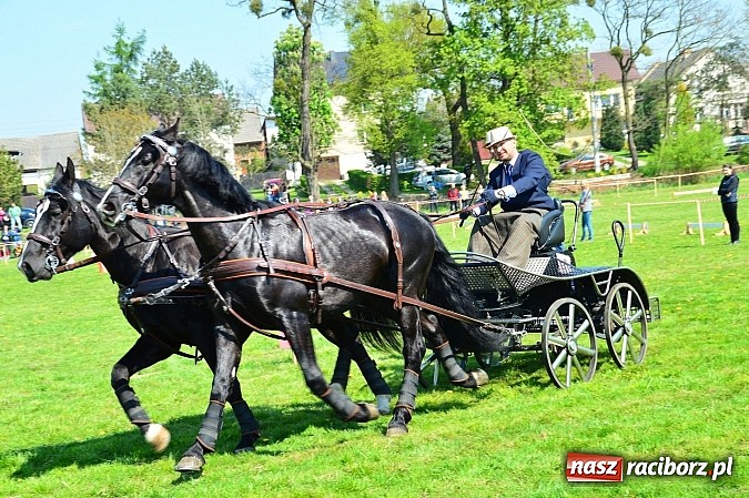 Zdjęcie w galerii na portalu naszraciborz.pl: Konna majówka w Kornicach - zawody w powożeniu  wiadomości z regionu