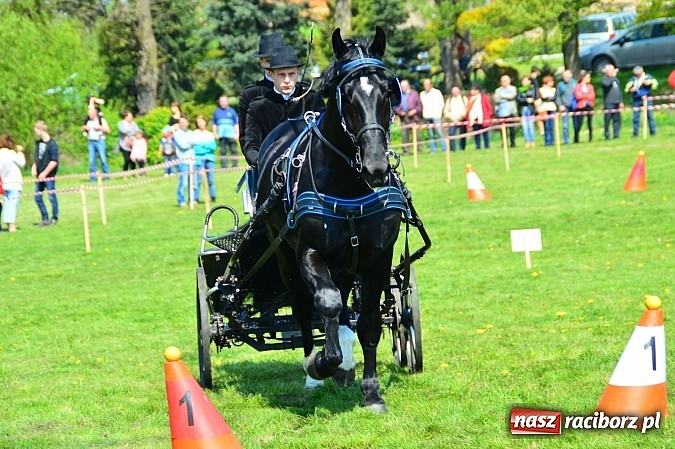 Zdjęcie w galerii na portalu naszraciborz.pl: Konna majówka w Kornicach - zawody w powożeniu  wiadomości z regionu