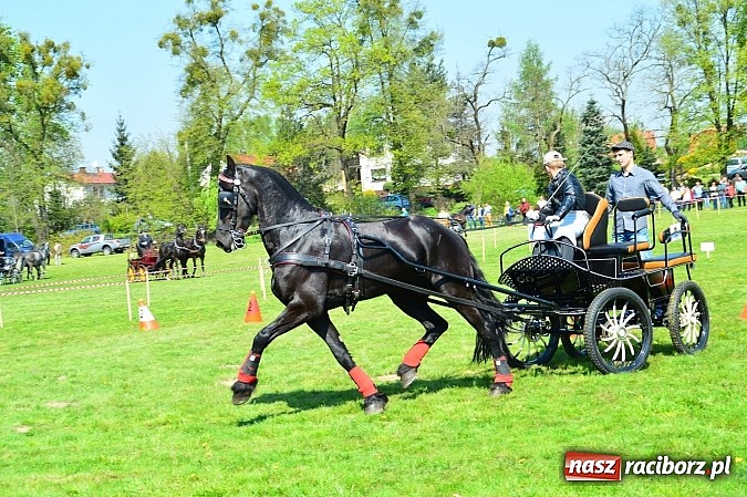 Zdjęcie w galerii na portalu naszraciborz.pl: Konna majówka w Kornicach - zawody w powożeniu  wiadomości z regionu