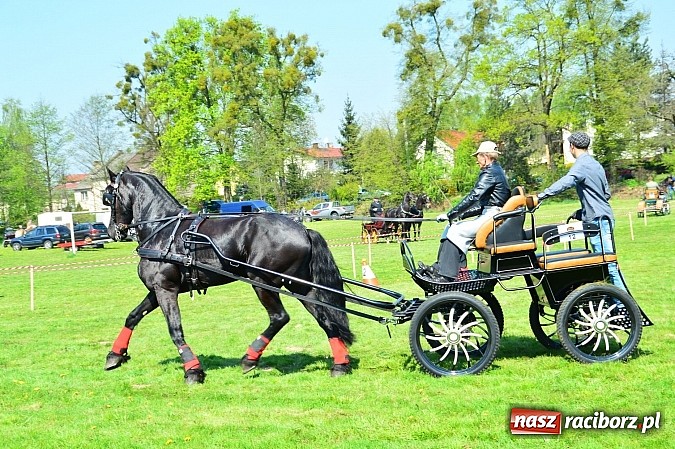 Zdjęcie w galerii na portalu naszraciborz.pl: Konna majówka w Kornicach - zawody w powożeniu  wiadomości z regionu