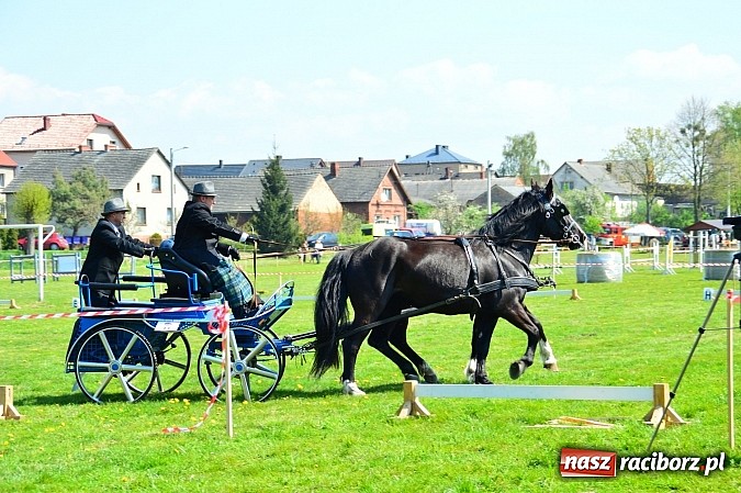 Zdjęcie w galerii na portalu naszraciborz.pl: Konna majówka w Kornicach - zawody w powożeniu  wiadomości z regionu