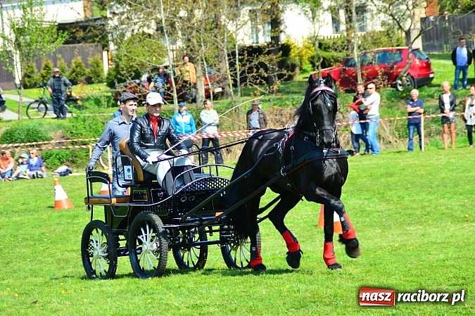 Zdjęcie w galerii na portalu naszraciborz.pl: Konna majówka w Kornicach - zawody w powożeniu  wiadomości z regionu