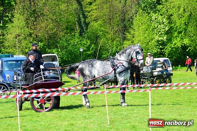 Zdjęcie w galerii na portalu naszraciborz.pl: Konna majówka w Kornicach - zawody w powożeniu  wiadomości z regionu