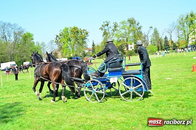 Zdjęcie w galerii na portalu naszraciborz.pl: Konna majówka w Kornicach - zawody w powożeniu  wiadomości z regionu