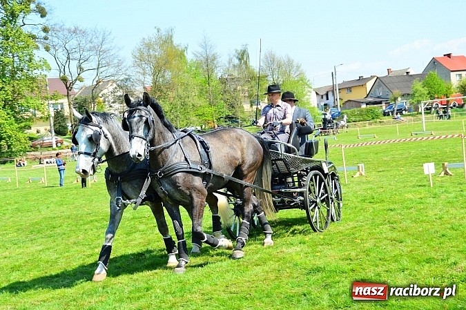 Zdjęcie w galerii na portalu naszraciborz.pl: Konna majówka w Kornicach - zawody w powożeniu  wiadomości z regionu