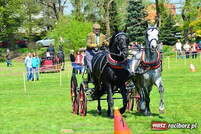 Zdjęcie w galerii na portalu naszraciborz.pl: Konna majówka w Kornicach - zawody w powożeniu  wiadomości z regionu