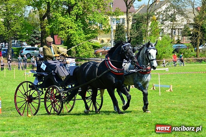 Zdjęcie w galerii na portalu naszraciborz.pl: Konna majówka w Kornicach - zawody w powożeniu  wiadomości z regionu