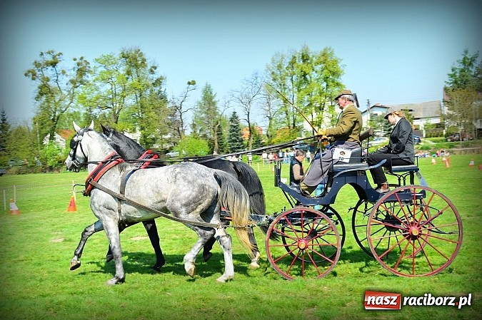 Zdjęcie w galerii na portalu naszraciborz.pl: Konna majówka w Kornicach - zawody w powożeniu  wiadomości z regionu
