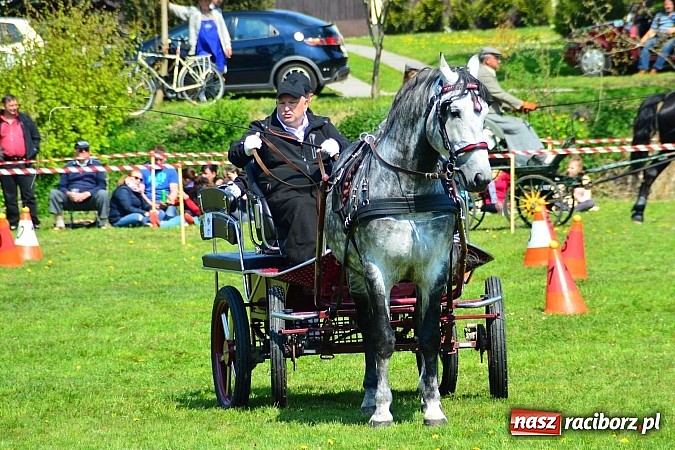 Zdjęcie w galerii na portalu naszraciborz.pl: Konna majówka w Kornicach - zawody w powożeniu  wiadomości z regionu