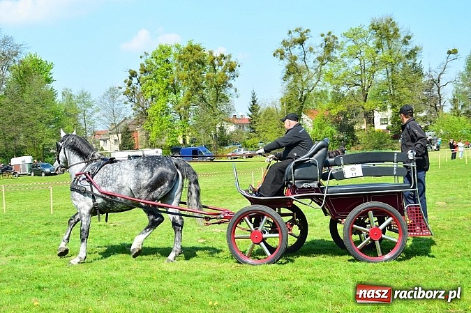 Zdjęcie w galerii na portalu naszraciborz.pl: Konna majówka w Kornicach - zawody w powożeniu  wiadomości z regionu