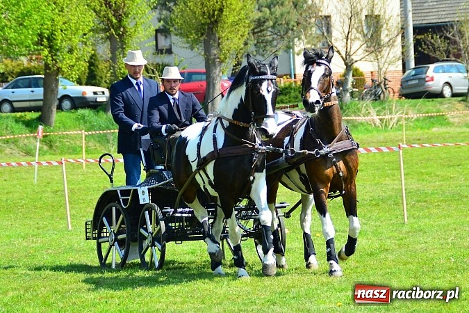 Zdjęcie w galerii na portalu naszraciborz.pl: Konna majówka w Kornicach - zawody w powożeniu  wiadomości z regionu